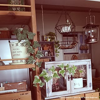 キッチン/室内グリーン/手作り棚/手作りショーケース/DIYのインテリア実例 - 2013-02-13 07:51:46