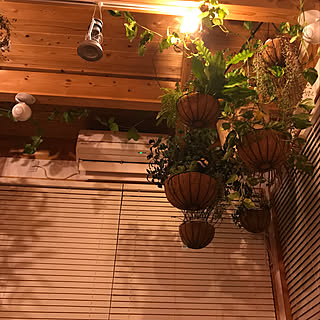 リビング/里山/観葉植物/木製ブラインド/吊り下げ観葉植物...などのインテリア実例 - 2018-01-21 22:33:46