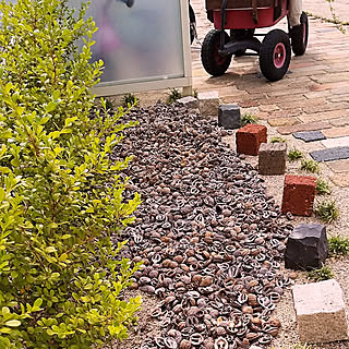 部屋全体/庭いじり/ガーデンパン/植物のある暮らし/こどもと暮らす。...などのインテリア実例 - 2019-05-06 12:30:27