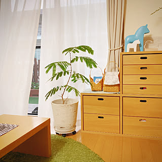 エバーフレッシュ剪定のインテリア実例 Roomclip ルームクリップ