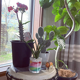 八福神のインテリア実例 Roomclip ルームクリップ