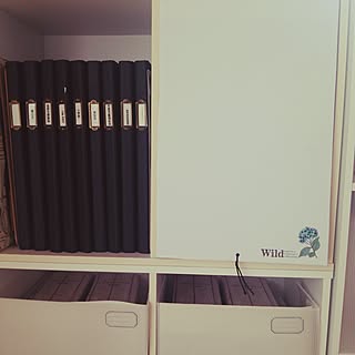 女性の、2LDK、家族住まいの「棚」についてのインテリア実例