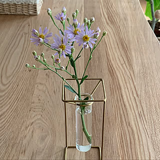 はなのある暮らし 十五夜草のインテリア実例 Roomclip ルームクリップ