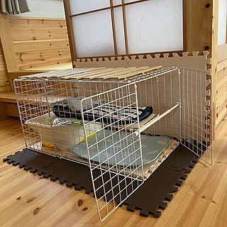 セリア Seria キャットケージのまとめページ Roomclip ルームクリップ