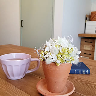 素焼き鉢 セリアのマグのインテリア実例 Roomclip ルームクリップ