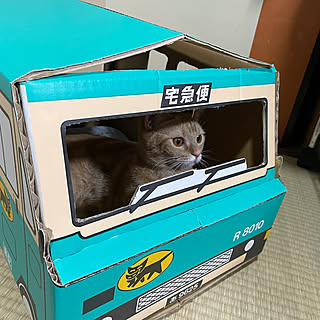 クロネコヤマト段ボールのインテリア実例 Roomclip ルームクリップ クロネコヤマト段ボールのインテリア実例 Roomclip ルームクリップ