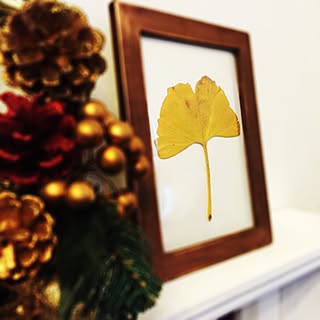 100均 落ち葉のインテリア実例 Roomclip ルームクリップ