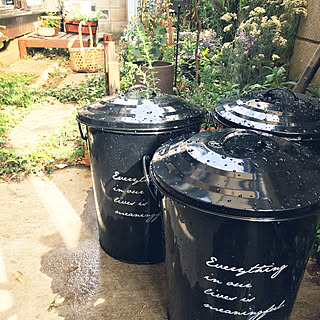 玄関/入り口/カインズホーム/観葉植物/相互フォロー募集中!/コメント喜びます☺︎...などのインテリア実例 - 2018-04-08 15:50:29