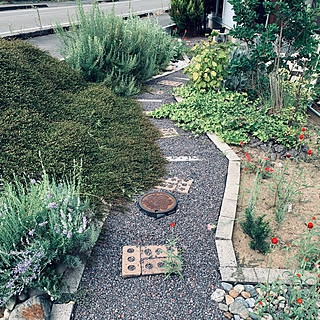 ワイヤープランツ ガザニアのインテリア実例 Roomclip ルームクリップ