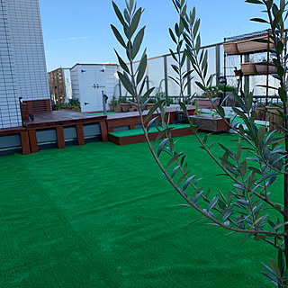 子犬の安全対策のインテリア実例 Roomclip ルームクリップ