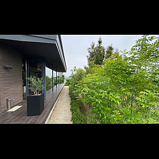 壁 天井 ガラス張りのインテリア実例 Roomclip ルームクリップ 壁 天井 ガラス張りのインテリア実例 Roomclip ルームクリップ