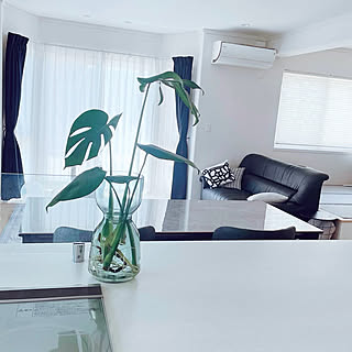 風水 観葉植物のインテリア実例 Roomclip ルームクリップ 風水 観葉植物のインテリア実例 Roomclip ルームクリップ
