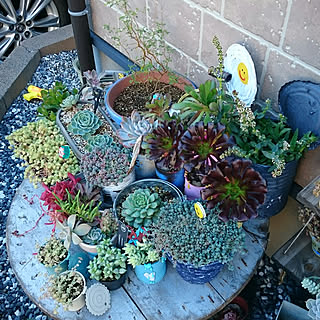JUNK STYLE GARDEN/ケーブルドラム/男前インテリア/リメ缶/リメ鉢...などのインテリア実例 - 2017-12-13 16:18:01