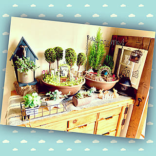 多肉ちゃん/箱庭風寄せ植え/観葉植物/シンプルが好き/いいね&フォローありがとうございます☆...などのインテリア実例 - 2019-04-04 17:03:12