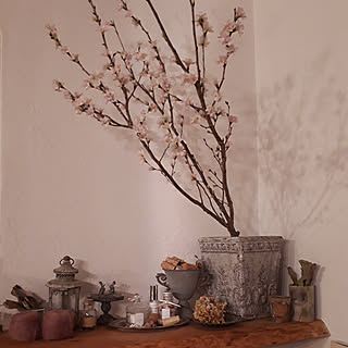 棚/2019.2.18/ありがとう❤/日常に感謝❤/皆様のあたたかさに感謝❤...などのインテリア実例 - 2019-02-18 19:42:28