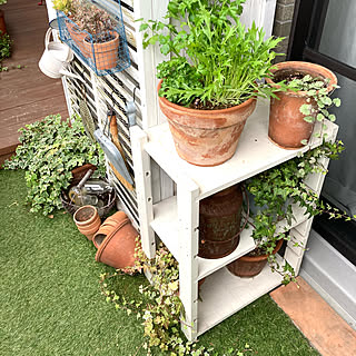 ニトリ ベランダ 目隠しののまとめページ 8ページ目 Roomclip ルームクリップ