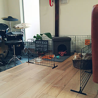 リビング 犬の部屋のインテリア実例 Roomclip ルームクリップ