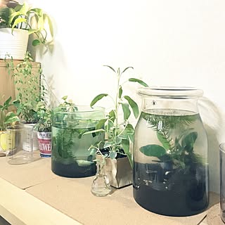 カインズ Abutiqueの商品を使ったおしゃれなインテリア実例 Roomclip ルームクリップ カインズ Abutiqueの商品を使ったおしゃれなインテリア実例 Roomclip ルームクリップ