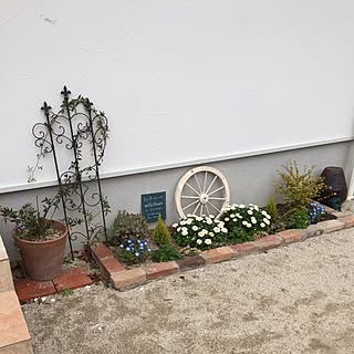 バス/トイレ/ネモフィラ/ノースポール/モッコウバラ/バストイレではないです/ナチュラル...などのインテリア実例 - 2017-03-23 13:17:21
