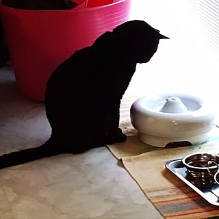 水飲み器のインテリア実例 Roomclip ルームクリップ