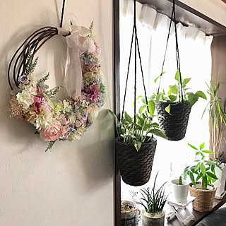 リビング/ハンドメイドリース/リースブーケ/RoomClipドラマ化/IG→ami09211985...などのインテリア実例 - 2018-08-21 19:56:03
