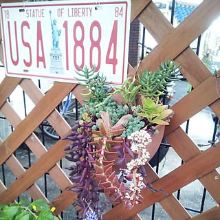 多肉寄せ植え 紅葉祭りのインテリア実例 Roomclip ルームクリップ 多肉寄せ植え 紅葉祭りのインテリア実例 Roomclip ルームクリップ