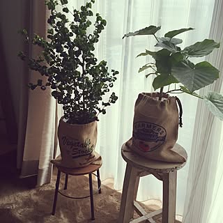 セリア 鉢カバーのインテリア実例 Roomclip ルームクリップ