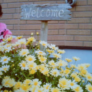 バス/トイレ/ばす、トイレではありませんが(^◇^;)/いいね、フォロー本当に感謝です♡/いつもいいね!ありがとうございます♪/北海道...などのインテリア実例 - 2018-08-29 13:22:22