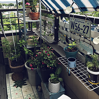 ダイソー/セリア/狭いベランダ/IKEA/ワイン木箱...などのインテリア実例 - 2019-06-23 07:48:08
