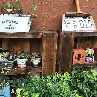 玄関/入り口/ミニ薔薇/インスタ→chiisoccer_11/パレットガーデニングDIY/パレットはただ♪...などのインテリア実例 - 2017-10-15 07:54:02