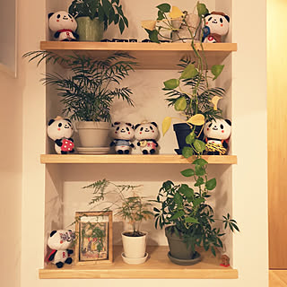 楽天パンダのインテリア実例 Roomclip ルームクリップ
