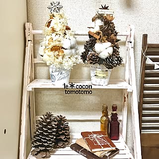 大きな松ぼっくりのインテリア実例 Roomclip ルームクリップ