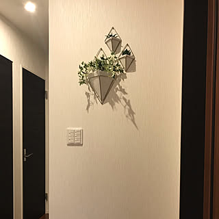 玄関 入り口 壁飾りのインテリア実例 Roomclip ルームクリップ 玄関 入り口 壁飾りのインテリア実例 Roomclip ルームクリップ