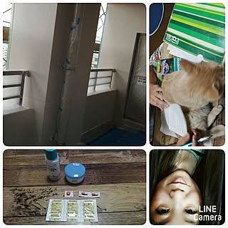 平安眉毛やめました/いいね&フォローありがとうございます♡/鹿児島二度寝連合/マロデブ/バス/トイレのインテリア実例 - 2017-06-20 21:37:36