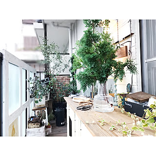 玄関/入り口/IKEA/ベランダ/DIY/ベランダガーデン...などのインテリア実例 - 2017-11-23 19:40:58