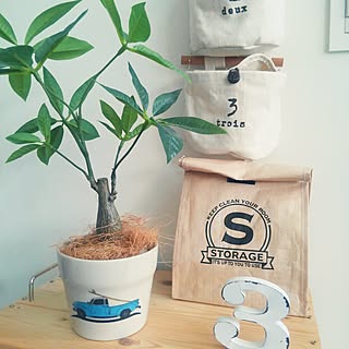 お試し撮影/セリア/百均リメイク/棚はDIY/いいね!ありがとうございます!...などのインテリア実例 - 2017-06-27 09:42:01