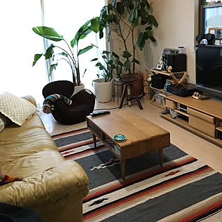 Wild 1のインテリア実例 Roomclip ルームクリップ