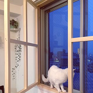 Diy 転落防止のインテリア 手作りの実例 Roomclip ルームクリップ