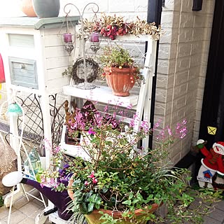 ベット周りではありませんm(_ _)m/カメラマーク消し☆/いつもいいねやコメントありがとう♡/季節を感じる暮らし/玄関/入り口のインテリア実例 - 2016-12-25 14:09:56