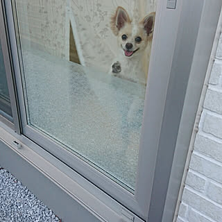 キッチン ガラスフィルムで目隠しのインテリア実例 Roomclip ルームクリップ