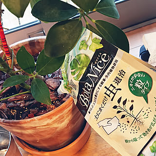 セリア Seria 支柱のまとめページ Roomclip ルームクリップ