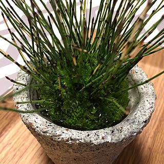 姫トクサのインテリア実例 Roomclip ルームクリップ