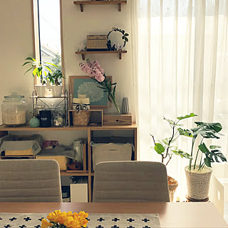 リビング/観葉植物/狭小LDK ~☆/DAISO・セリア大好き☆/2階にもリビング有ります☆...などのインテリア実例 - 2018-04-04 13:54:27