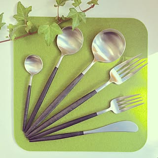 キッチン/カトラリー/GOA/クチポール/cutipolのインテリア実例 - 2016-02-02 12:33:42
