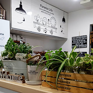 キッチン/〇〇のある暮らし/ナチュラル/こどものいる暮らし/観葉植物...などのインテリア実例 - 2020-01-23 22:06:00
