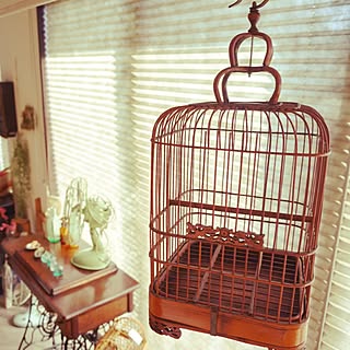 アンティーク 鳥籠のおしゃれなアレンジ 飾り方のインテリア実例 Roomclip ルームクリップ