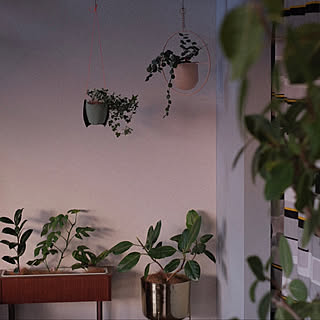 Ikea ハンギングプランターのまとめページ Roomclip ルームクリップ Ikea ハンギングプランターのまとめページ Roomclip ルームクリップ