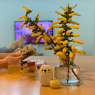 楽天roomに載せてます/マンション/観葉植物/花のある暮らし/フラワーベース...などのインテリア実例 - 2020-02-22 21:57:59