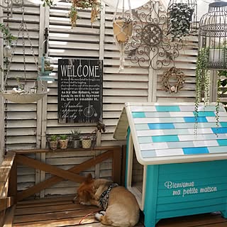 犬小屋 カインズのおしゃれなアレンジ 飾り方のインテリア実例 Roomclip ルームクリップ