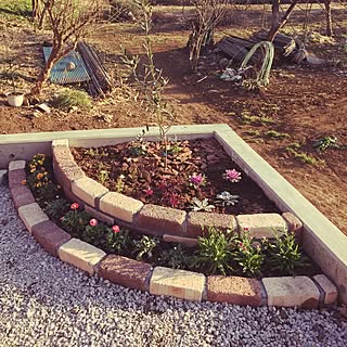 冬の花壇のインテリア実例 Roomclip ルームクリップ